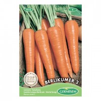 Cenoura Berlikum