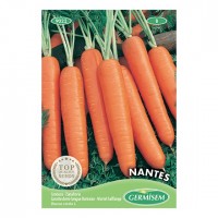 Cenoura Nantes
