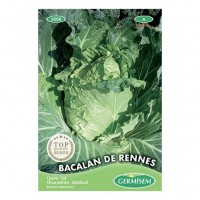Couve Bacalan de Rennes