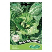 Couve penca da Póvoa