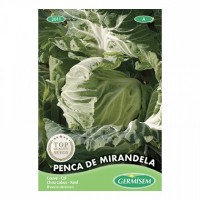 Couve Penca de Mirandela Couve Penca de Mirandela