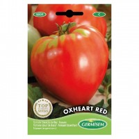 Tomate coração de boi