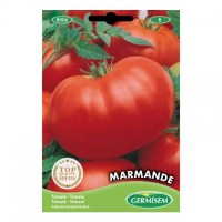 Tomate Marmande